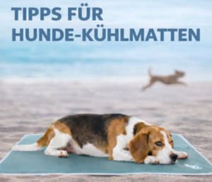 Hundekühlmatten