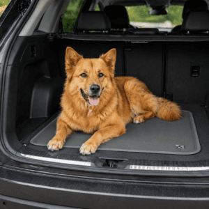 Hund liegt entspannt auf einer grünen Kühlmatte im offenen Kofferraum eines Autos