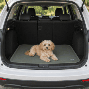 Kleiner Hund liegt auf einer grünen Kühlmatte im offenen Kofferraum eines Autos